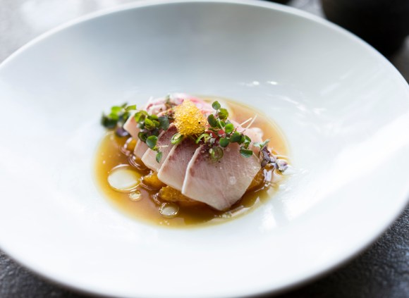 hama chili_2_logancrable