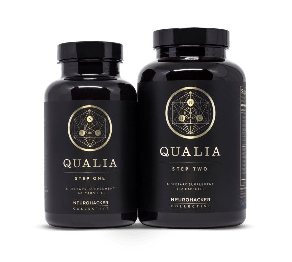 Qualia1_2